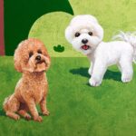 KakaoTalk 20190205 155911147