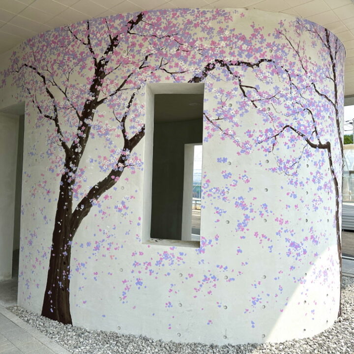 강원도벚꽃나무벽화06 1