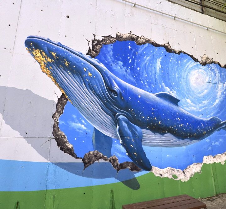 담장 트릭아트 포토존19