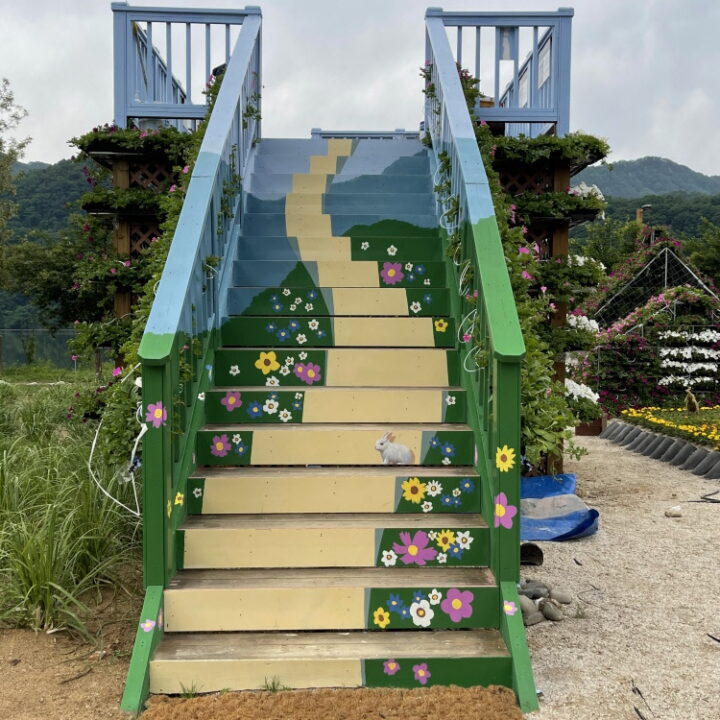 홈 가평자라섬트릭2